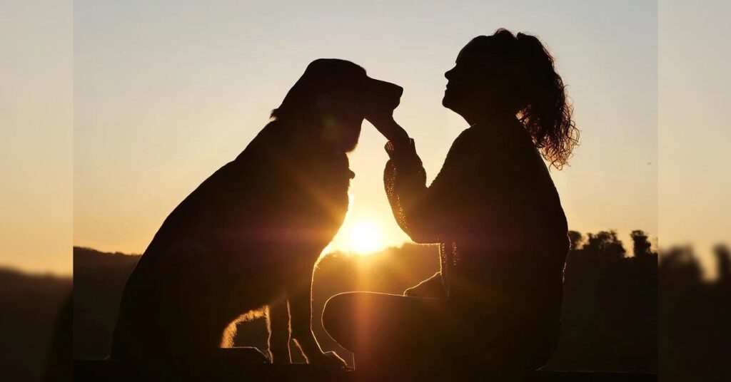 Según estudio, algunas personas pueden sentir mayor afecto por sus mascotas que por otros humanos