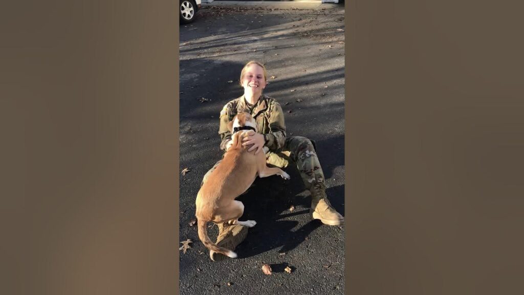 Así recibe un perro a su dueña luego de 8 meses sin verla